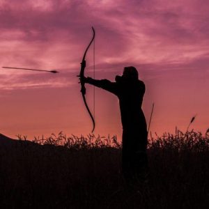 Is Robin Hood the Answer?