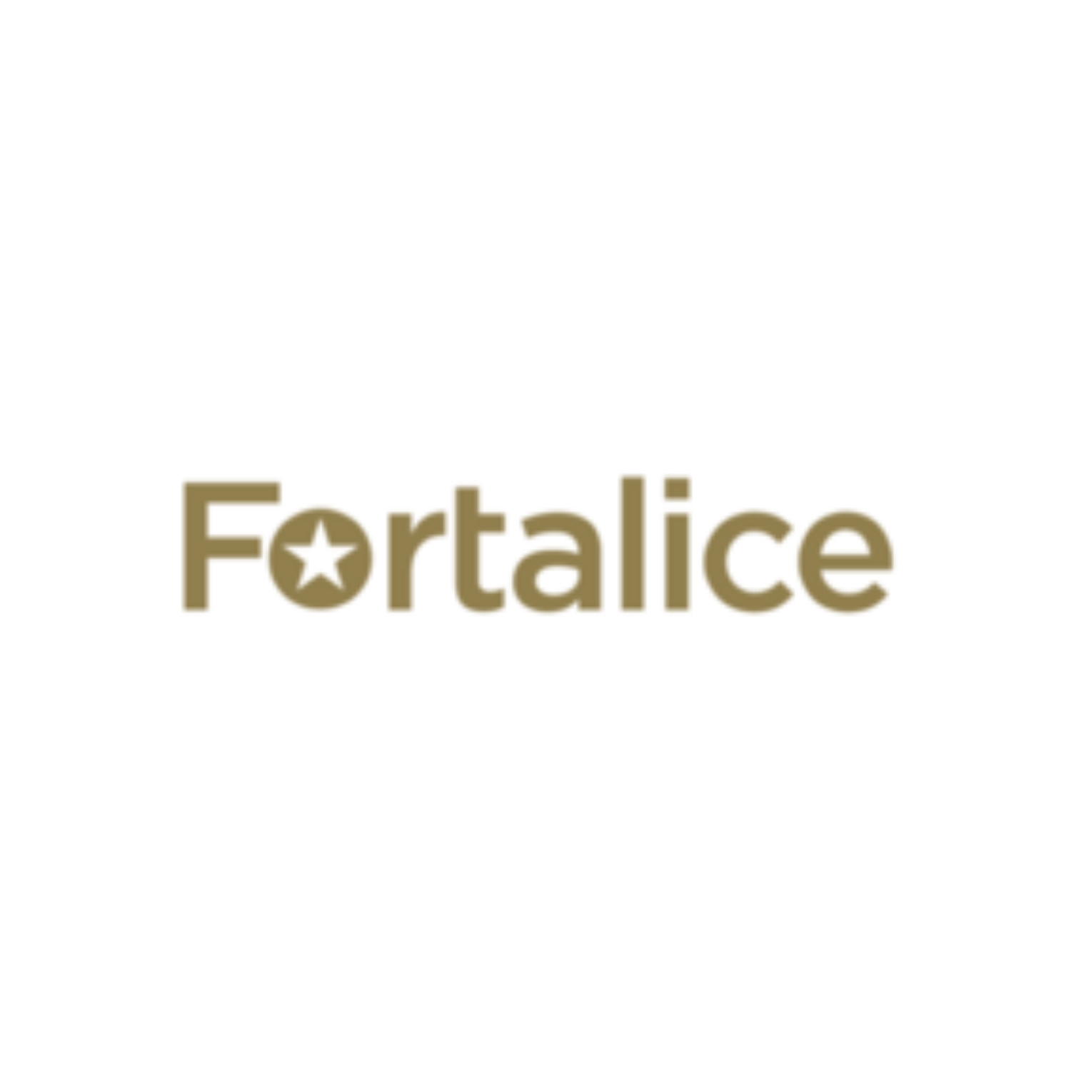 Fortalice-Solutions