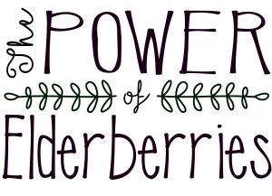 The-Power-of-Elderberries