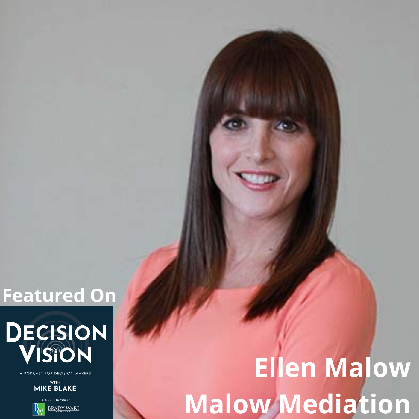 Decision Vision Mediation