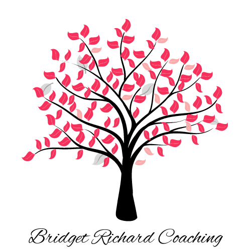 Coach The Coach Bridget-Richard-Coaching-logo