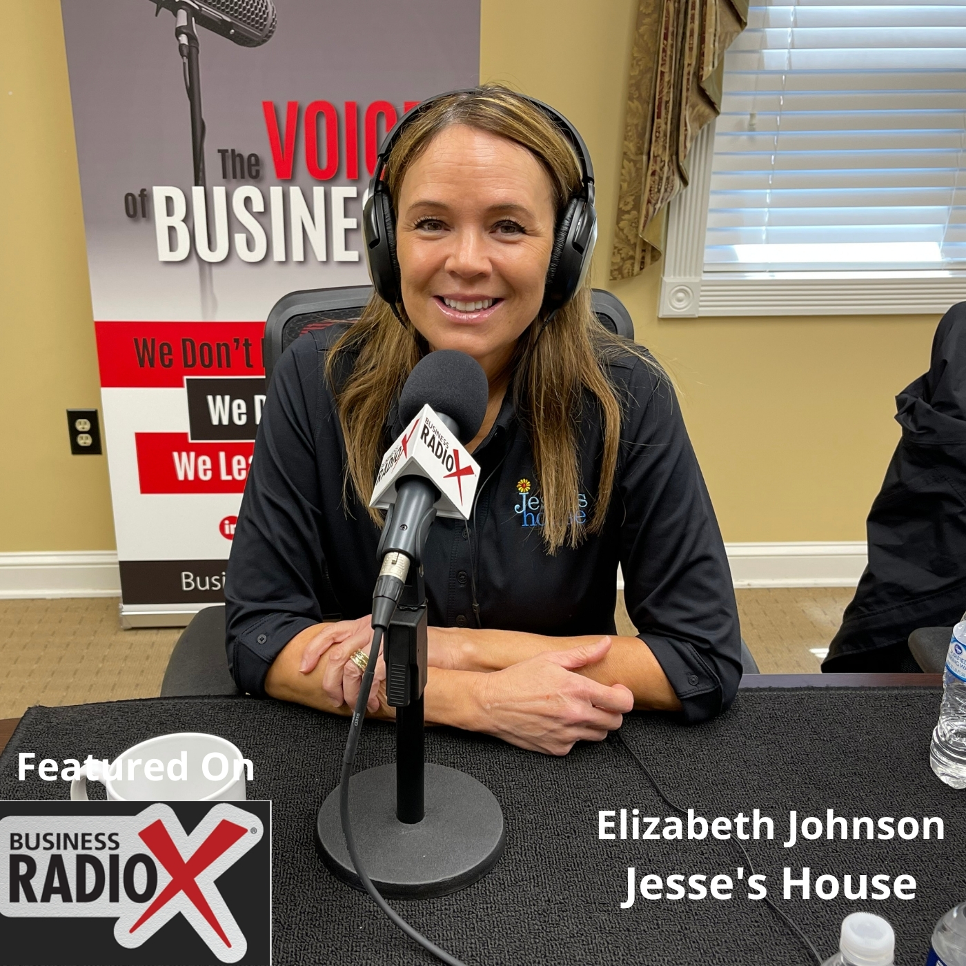 North Fulton Business Radio Elizabeth-Johnson-Album