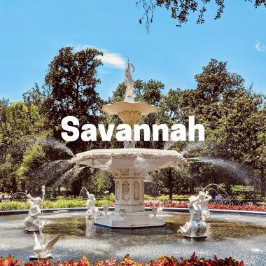 Savannah-Final