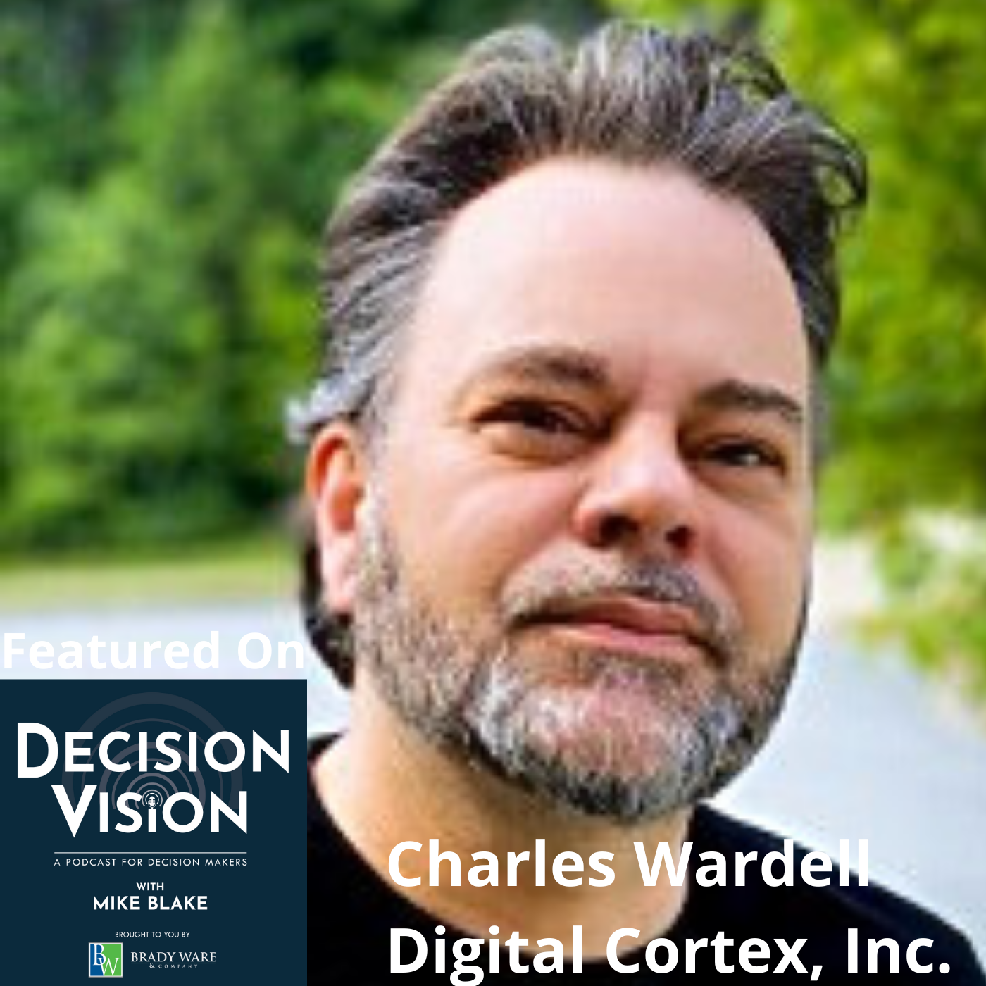 Decision Vision Digital Cortex