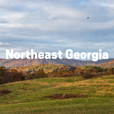 Northeast-Georgia-Homepage-tilev2