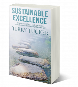 Sustainable-Excellence-book-cover