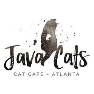 Zoe Hughes-Nelson and Hadyn O’Hara With Java Cats Cafe