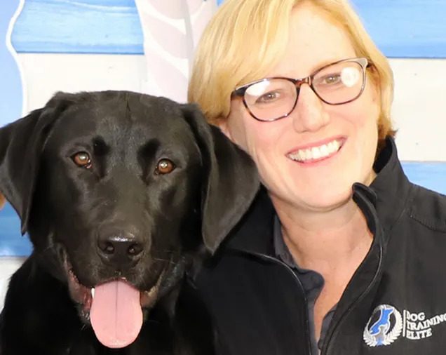 Betsy Feaster with Dog Training Elite episode artwork
