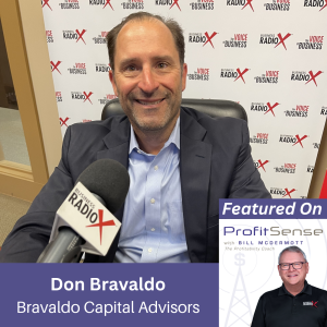 The Current State of the M&A Market, with Don Bravaldo, Bravaldo Capital Advisors