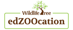 edZOOcation-logo