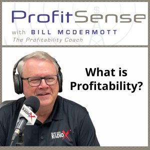 What is Profitability? with Bill McDermott, The Profitability Coach