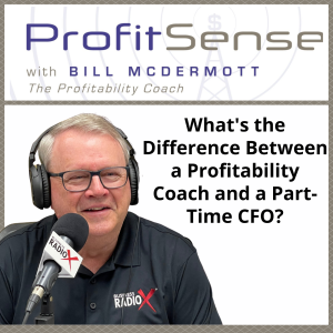 What’s the Difference Between a Profitability Coach and a Part-Time CFO?, with Bill McDermott, Host of ProfitSense