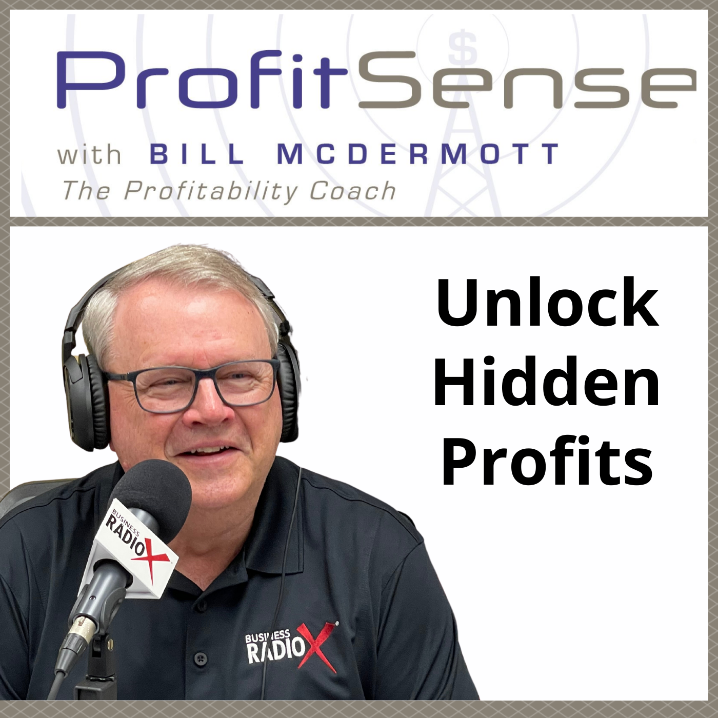 Unlock Hidden Profits, with Bill McDermott, Host of ProfitSense